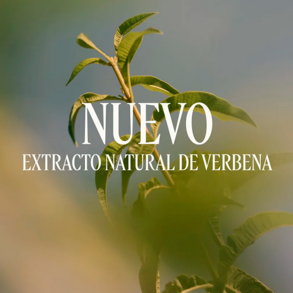 verveine