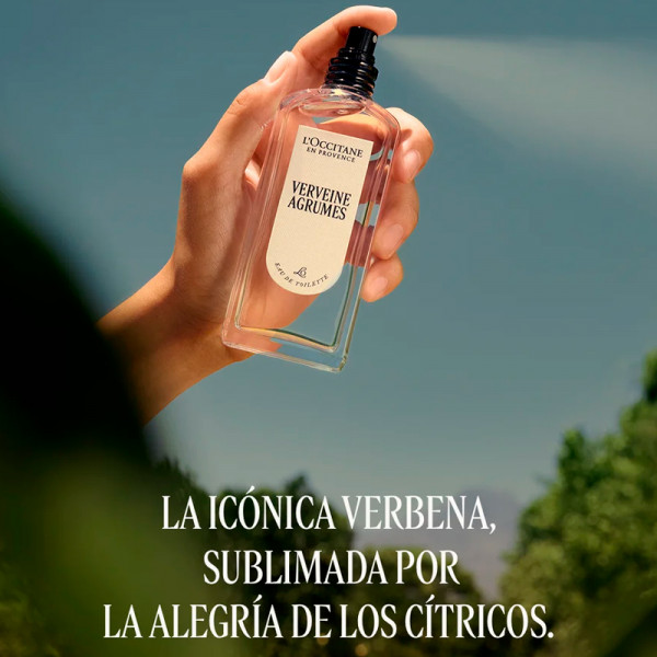 verveine-agrumes