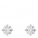 Stilla Attract stud earrings