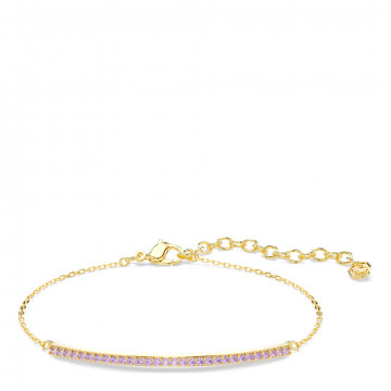 apenas-a-pulseira