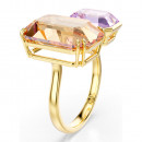 anello-aperto-del-millennio