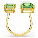 anello-aperto-del-millennio