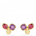 Boucles d'oreilles boutons ambre