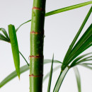 mighty-bamboo-panthenol-cleanser-ansigtsrens