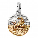 Capricorn Zodiac Medallion Charm 764987C01