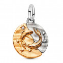 Pingente Medalh&atilde;o do Signo de Peixes 764991C01