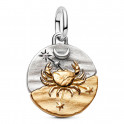 Charm Medall&oacute;n Zodiaco C&aacute;ncer 764984C01