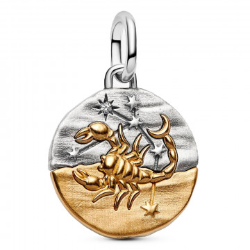scorpio-zodiac-medallion-charm-764985c01