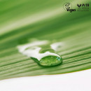 black-bamboo-mist-hydrating-facial-mist