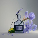 iris-debonair-eau-de-parfum