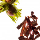 huile-santal-oleo-de-sandalo-nutritivo-e-calmante