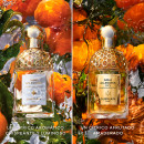 aqua-allegoria-mandarine-basilic-eau-de-toilette