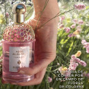 aqua-allegoria-florabloom