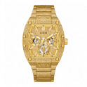 Phoenix Frost 42mm Analog Watch in Stainless Steel