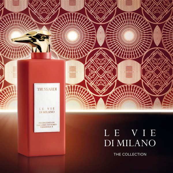 Le Vie Di Milano Galleria Vittorio Emanuele II