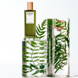 loewe-esencia-eau-de-parfum.jpg