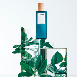 LOEWE 7 Cobalt オードパルファム 50ml 男性用 Amazon.com : LOEWE 7 for Men 3.4 oz Eau de Toilette Spray