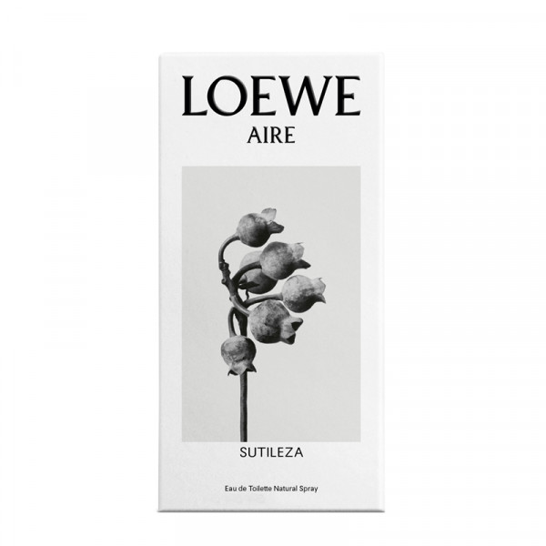 Luftens subtilitet