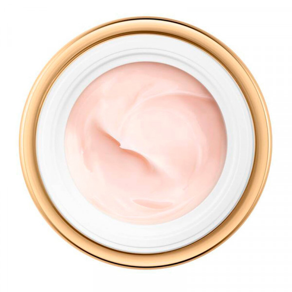 Absolute Rich Cream
