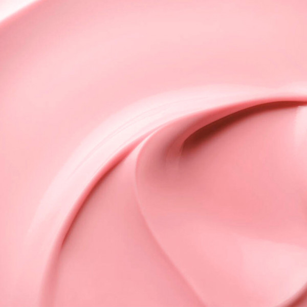 Absolute Rich Cream