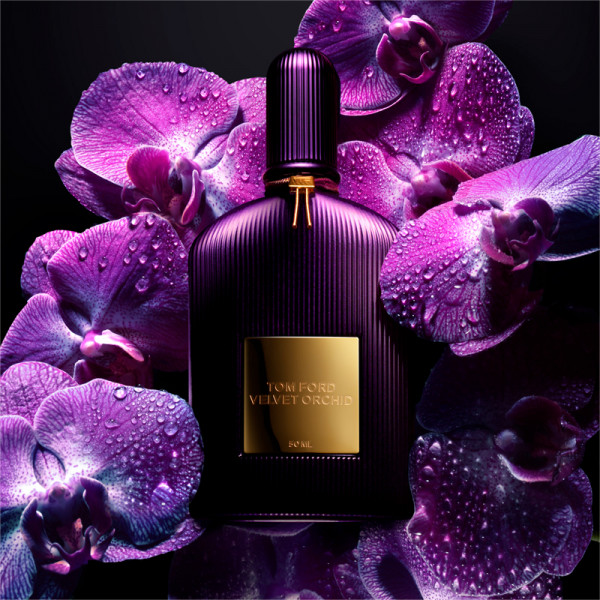 Velvet Orchid - Sabina