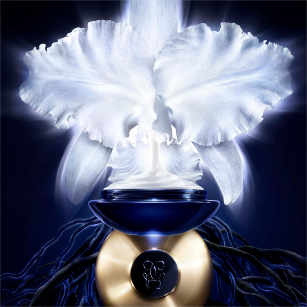 Imperial Orchid Cream