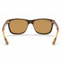 RB4181 710/83 Light Havana Polar Brown