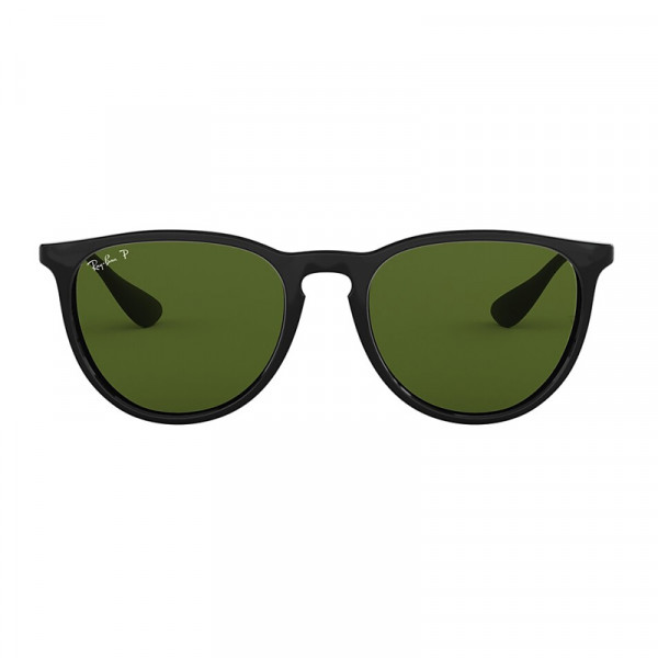 RB4171 601/2p Erika Black Polar Green