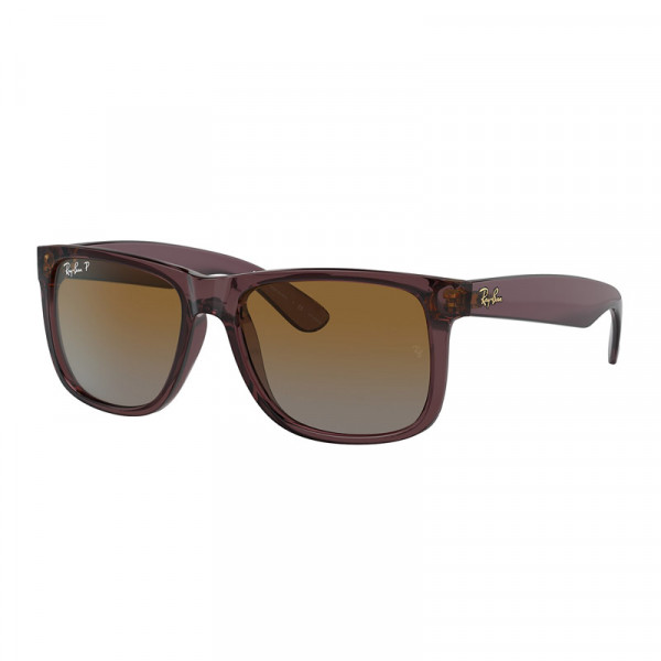 Rb4165 polarized hot sale