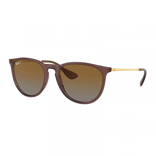 RB4171 6593T5 54 Erika Dark Brown