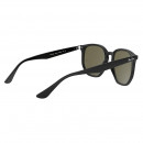 RB4306 601/9A T54 Polarized