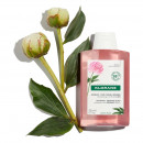 champu-a-la-peonia-bio