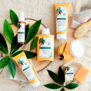 shampoing-solide-mangue