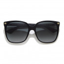 gg0022s-001