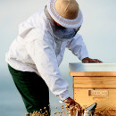 abeille-royale-honey-cataplasm-mask