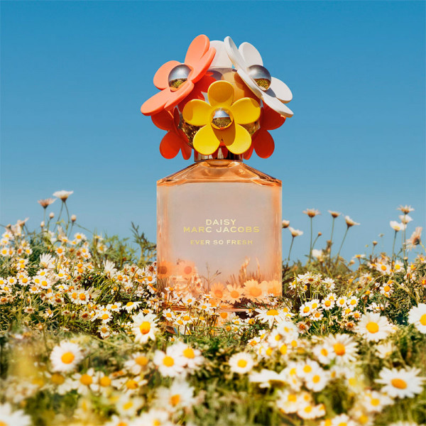 Daisy Ever So Fresh