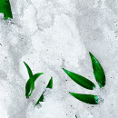 reve-de-the-revitalizing-granular-scrub
