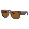 Gafas De Sol Rb0840S