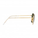 RB3694 001/31 T55 Jim Metal 145 3N Arista Green