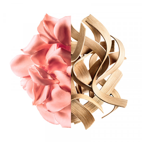 Irresistible Rose Velvet
