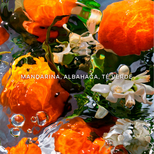 Aqua Allegoria Mandarine Basilic SET