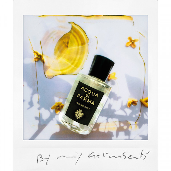 osmanthus
