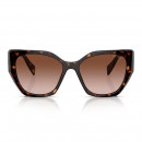 pr-19zs-2au651-tortoise-brown-grad