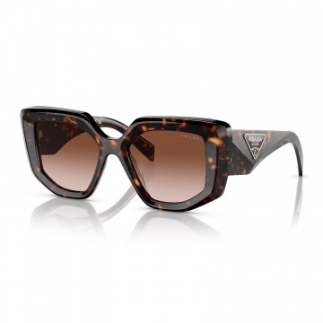 pr-14zs-2au6s1-tortoise-brown-grad