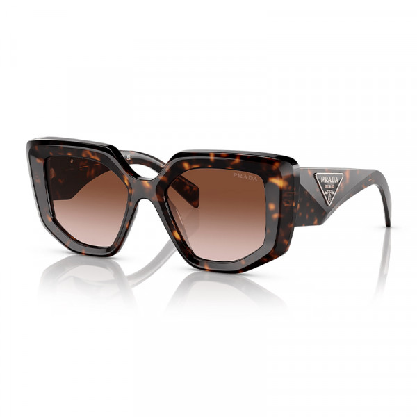 pr-14zs-2au6s1-tortoise-brown-grad