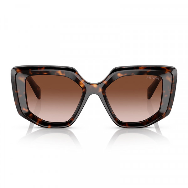 pr-14zs-2au6s1-tortoise-brown-grad