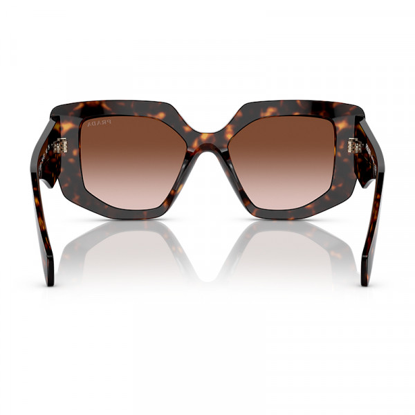 pr-14zs-2au6s1-tortoise-brown-grad