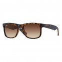 RB4165 710/13 54-16 Justin Classic