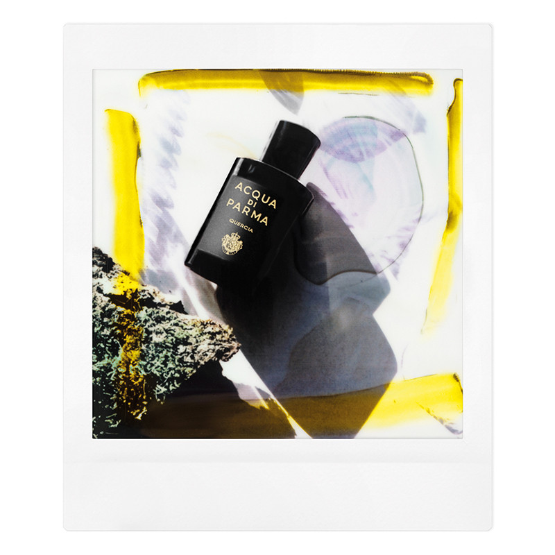 Acqua Di Parma Quercia Signatures of the Sun Eau de Parfum