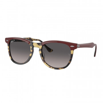 RB2398 1377M3 53-21 Eagle Eye Polarizado